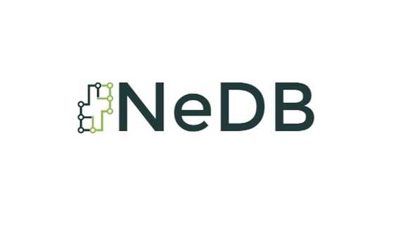 NeDB